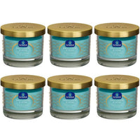 Juicy Lemon & Musk 67