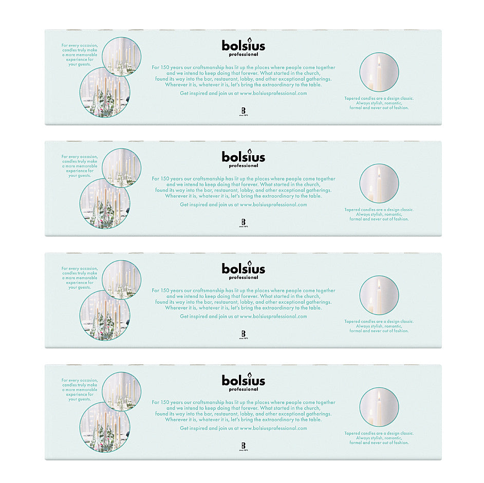 120 Stk Bolsius Professional Spitzkerzen 250x24mm Tafelkerzen Elfenbein (4x30er)