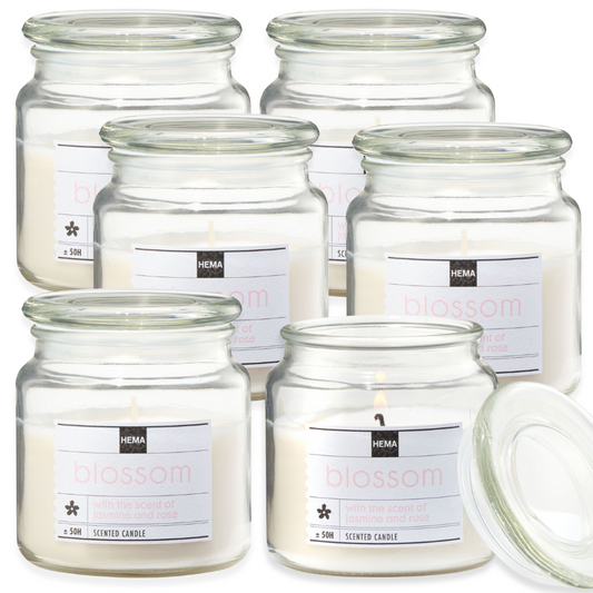 6er Set Hema Duftgläser 110x95cm Bonbonglas Kerzenglas Deckel Duftkerzen - Blossom