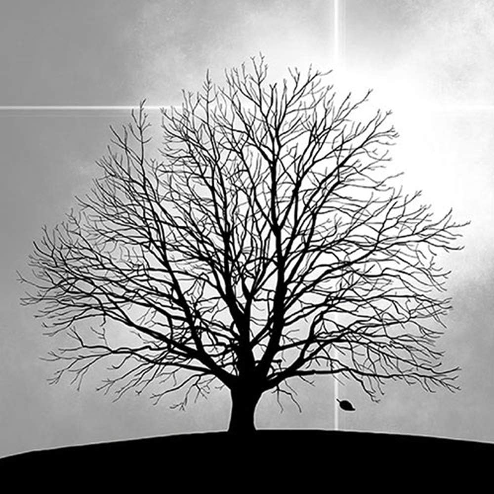 40 Stück Ambiente Servietten 33x33cm „Tree“ – Baum in Schwarz-Grau – (2x20er)