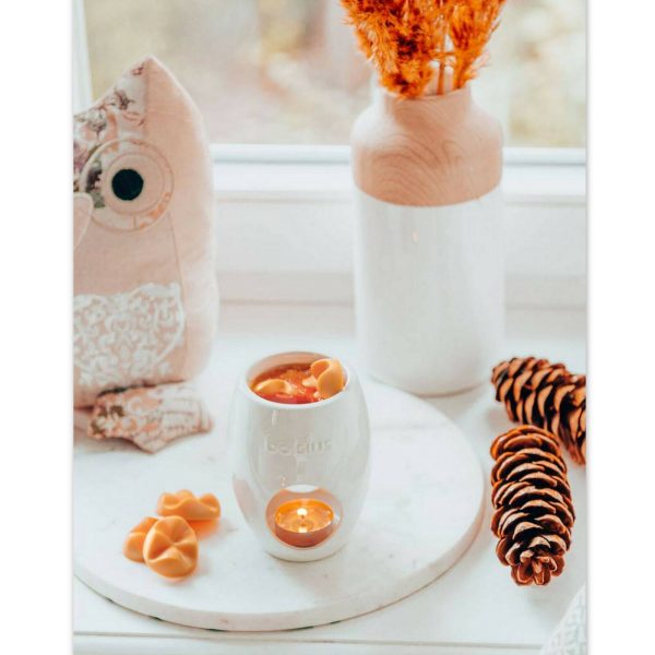 48-tlg. Bolsius Aromatic True Scents Wax Melts Duft Schmelzblüten (8x6er)