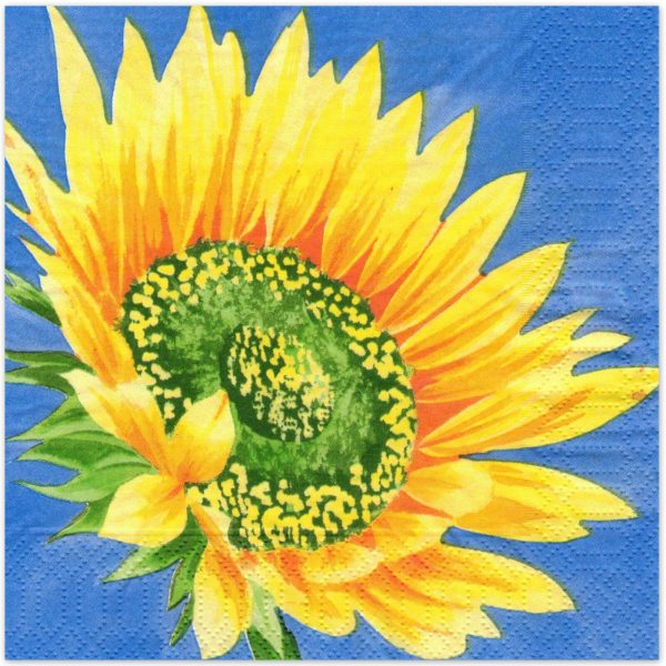 240 Zellstoff Servietten 3-lagig 33x33cm Papierserviette - Sonnenblume blue