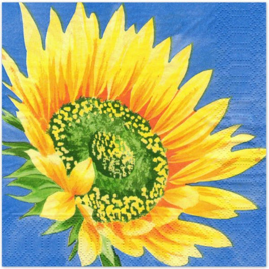 240 Zellstoff Servietten 3-lagig 33x33cm Papierserviette - Sonnenblume blue