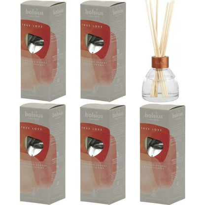 6er Pack Bolsius Aromatic Diffuser Duftspender Raumduft je 45ml Holzstäbchen