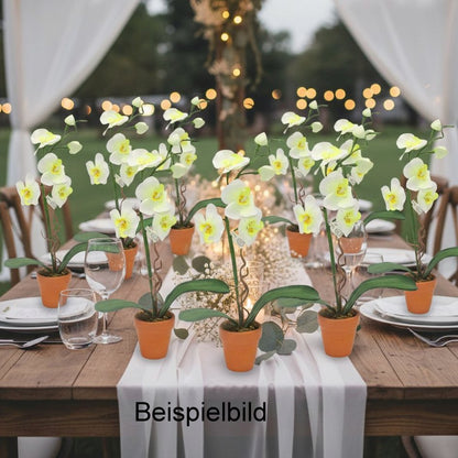 9er Set Künstliche Mini-Orchideen im Tontopf Blumen Kunstpflanzen 22x3cm weiß-gelb
