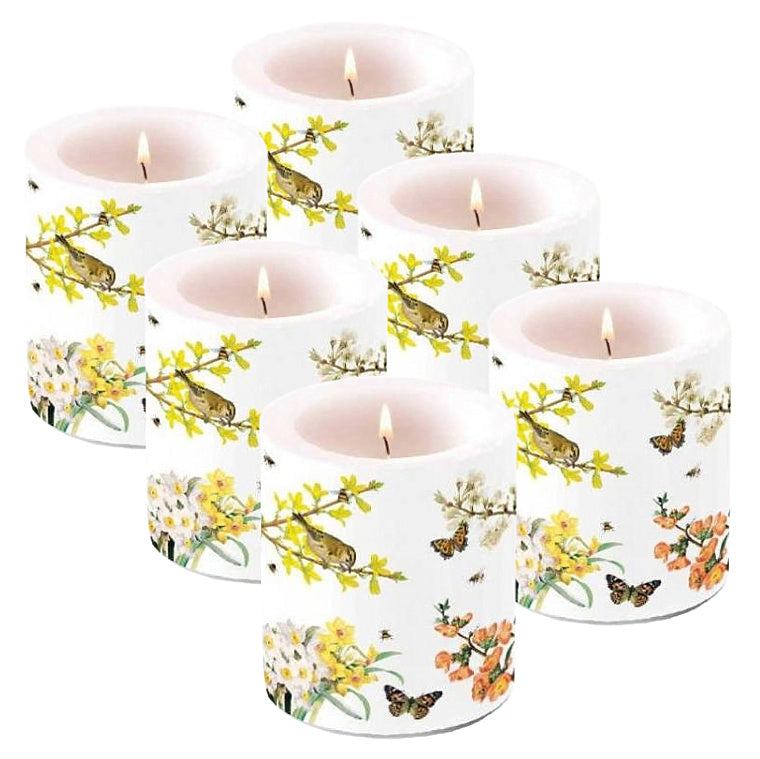 6er Set Ambiente Lampionkerzen 100x100mm Windlichtkerzen Medium