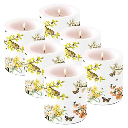 6er Set Ambiente Lampionkerzen 100x100mm Windlichtkerzen Medium