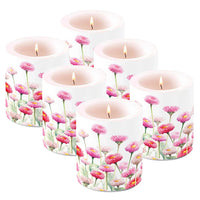 Painted Bellis - rosa (020)