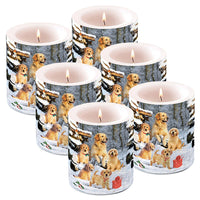 Golden Retriever Puppies (885)