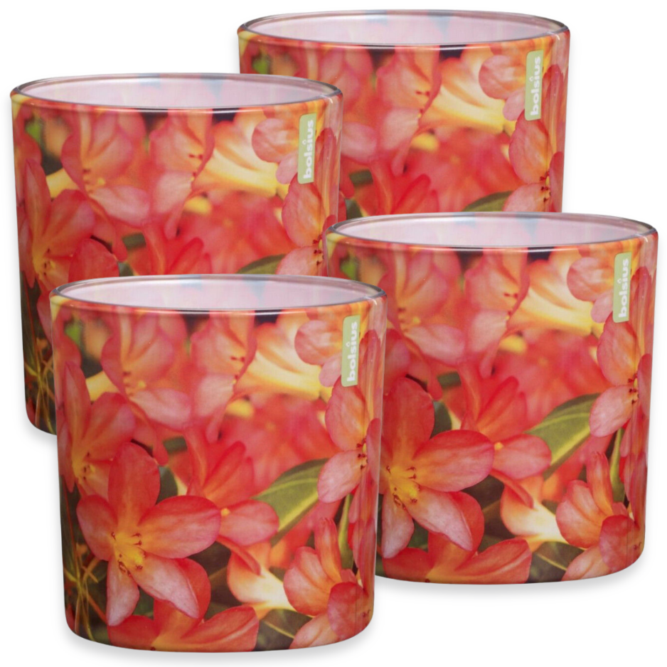 4er Set Bolsius Duftgläser 100x100mm Duftkerzen Groß Kerzenglas Floral Garden Azalea - rot
