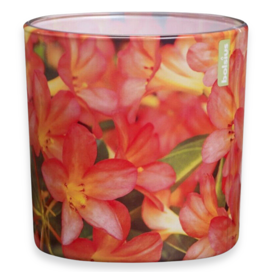 4er Set Bolsius Duftgläser 100x100mm Duftkerzen Groß Kerzenglas Floral Garden Azalea - rot