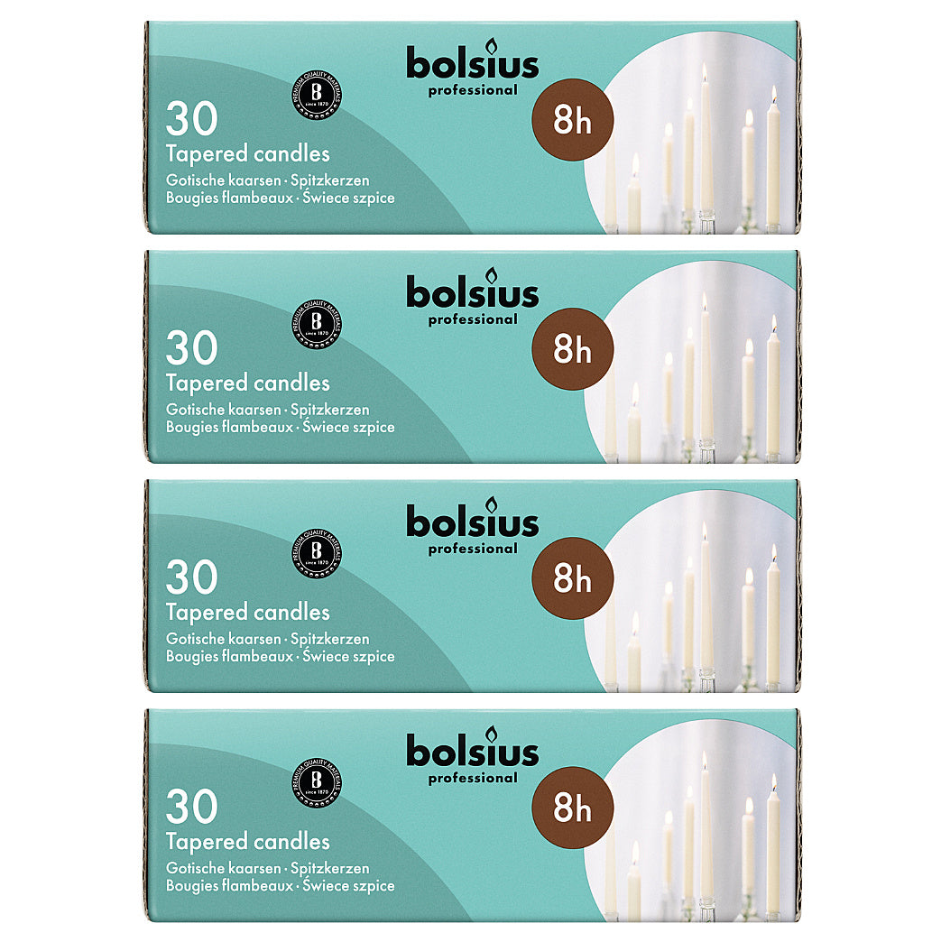 120 Stk Bolsius Professional Spitzkerzen 250x24mm Tafelkerzen Elfenbein (4x30er)