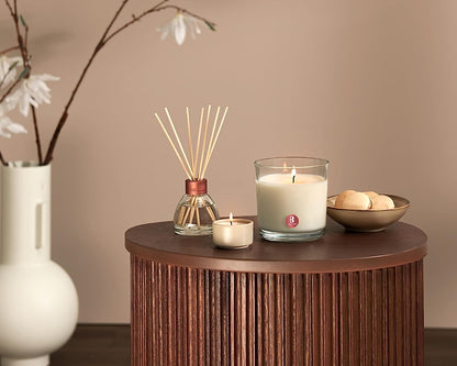 120 Stk Bolsius Maxi Duft Teelichter 8 h Acryl Cup Maxilichte bunt gemischt B-Ware