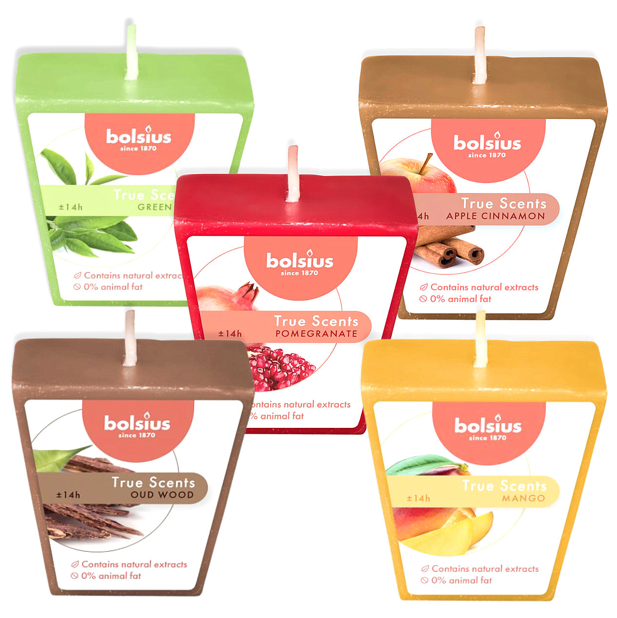 24 Stk Bolsius True Scents Votivkerzen Square 47x47mm Duftkerzen (2x12er) + 2 Gläser Gratis