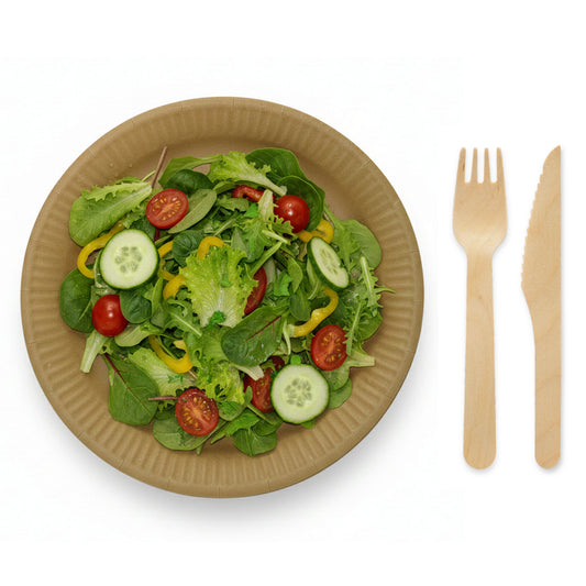 300 tlg. Bio Einweg Set: 100 Pappteller braun + 100 Gabel + 100 Messer Holzbesteck