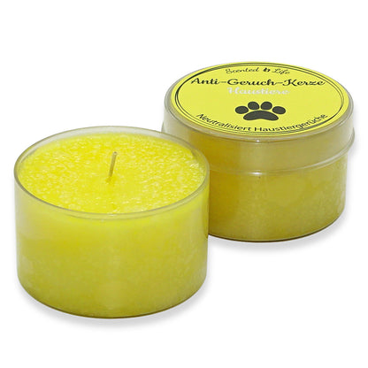 6 Stk Scented Life Anti Geruch Kerze Ø 7cm Duftkerze Dose mit Deckel