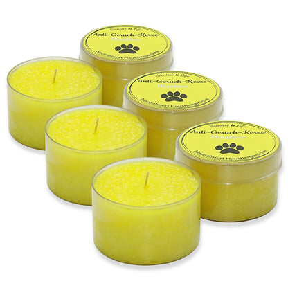 6 Stk Scented Life Anti Geruch Kerze Ø 7cm Duftkerze Dose mit Deckel