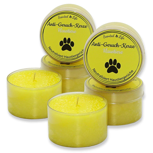 6 Stk Scented Life Anti Geruch Kerze Ø 7cm Duftkerze Dose mit Deckel