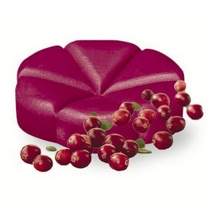 110 Bolsius Creations Schmelzblüten Duft Wax Melts (110er Pack)