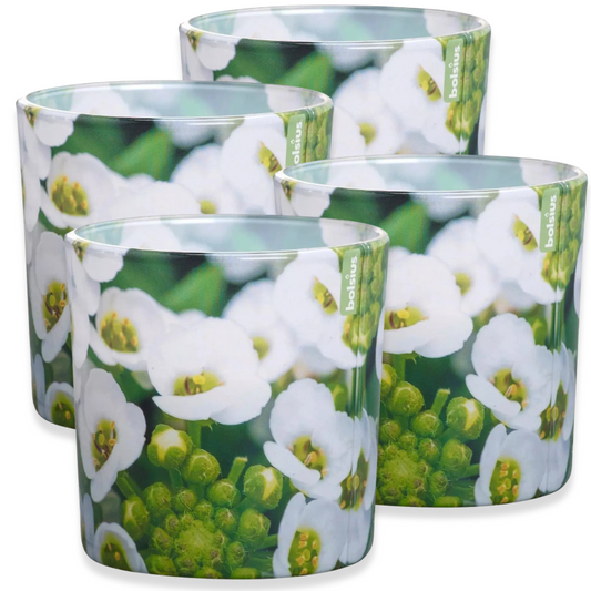 4er Bolsius Duftgläser Groß 100x100mm Duftkerze Kerzenglas Floral Garden Löffelkresse - grün