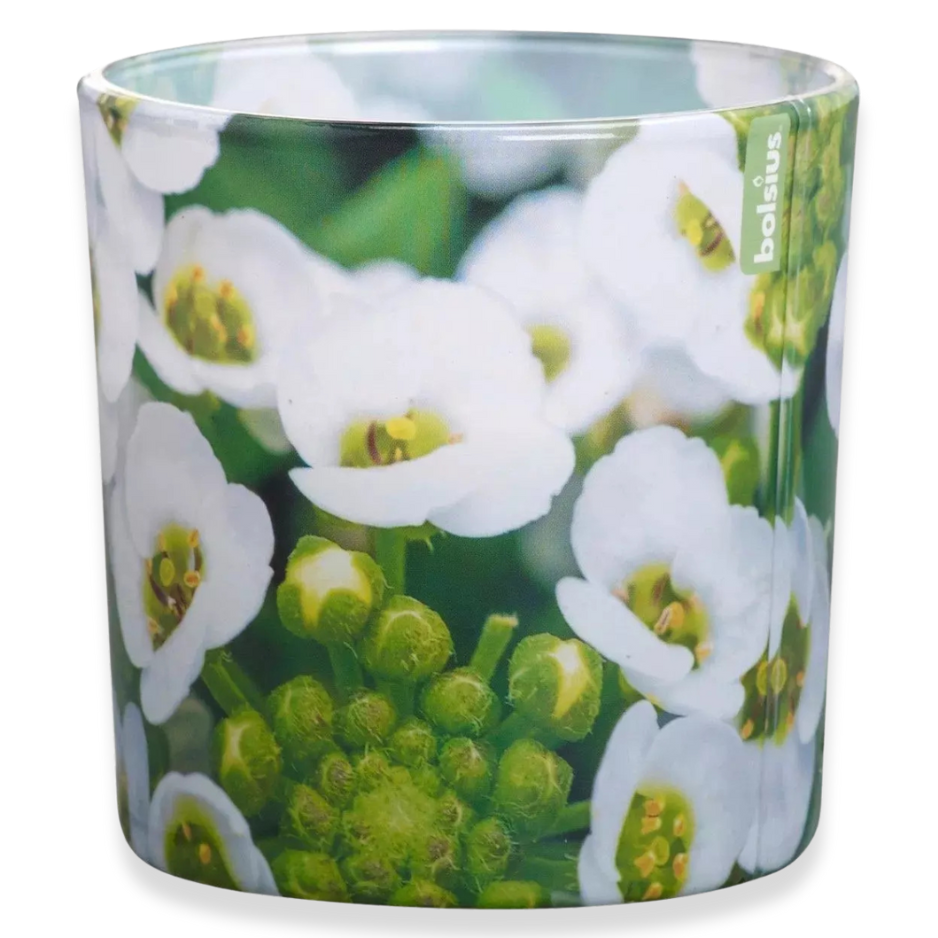 4er Bolsius Duftgläser Groß 100x100mm Duftkerze Kerzenglas Floral Garden Löffelkresse - grün