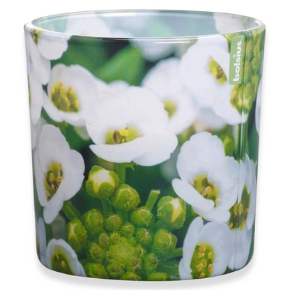4er Bolsius Duftgläser Groß 100x100mm Duftkerze Kerzenglas Floral Garden Löffelkresse - grün